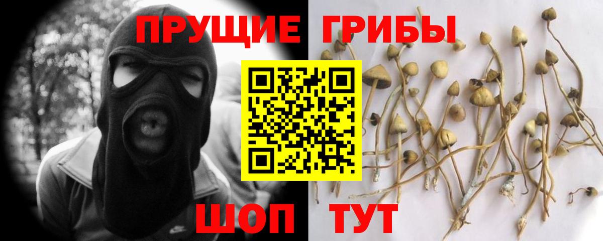 Галлюциногенные грибы Magic Shrooms Бузулук